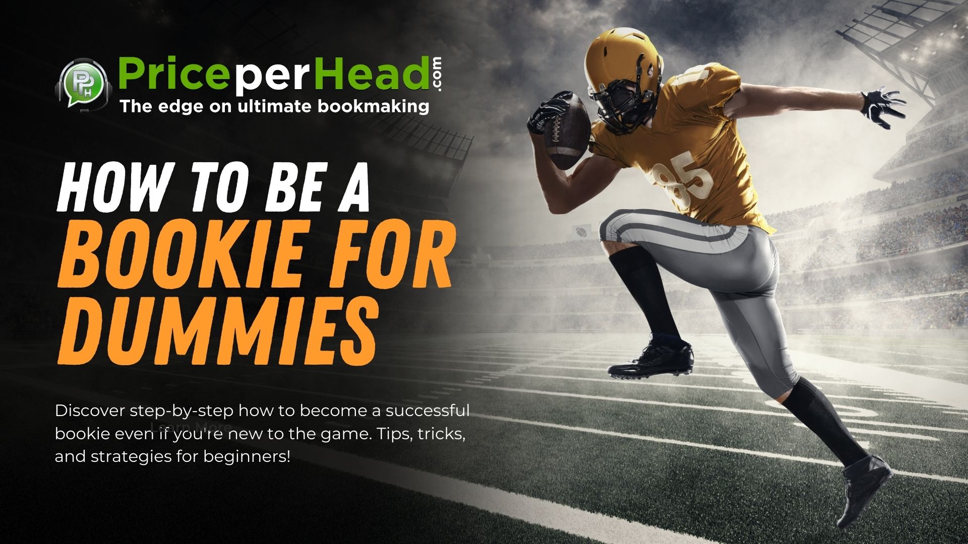 how to be a bookie for dummies, pay pe rhead, price per head