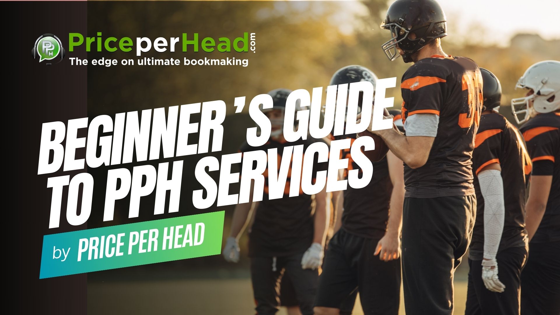 beginners guide to pph services, pay per head services, price per head