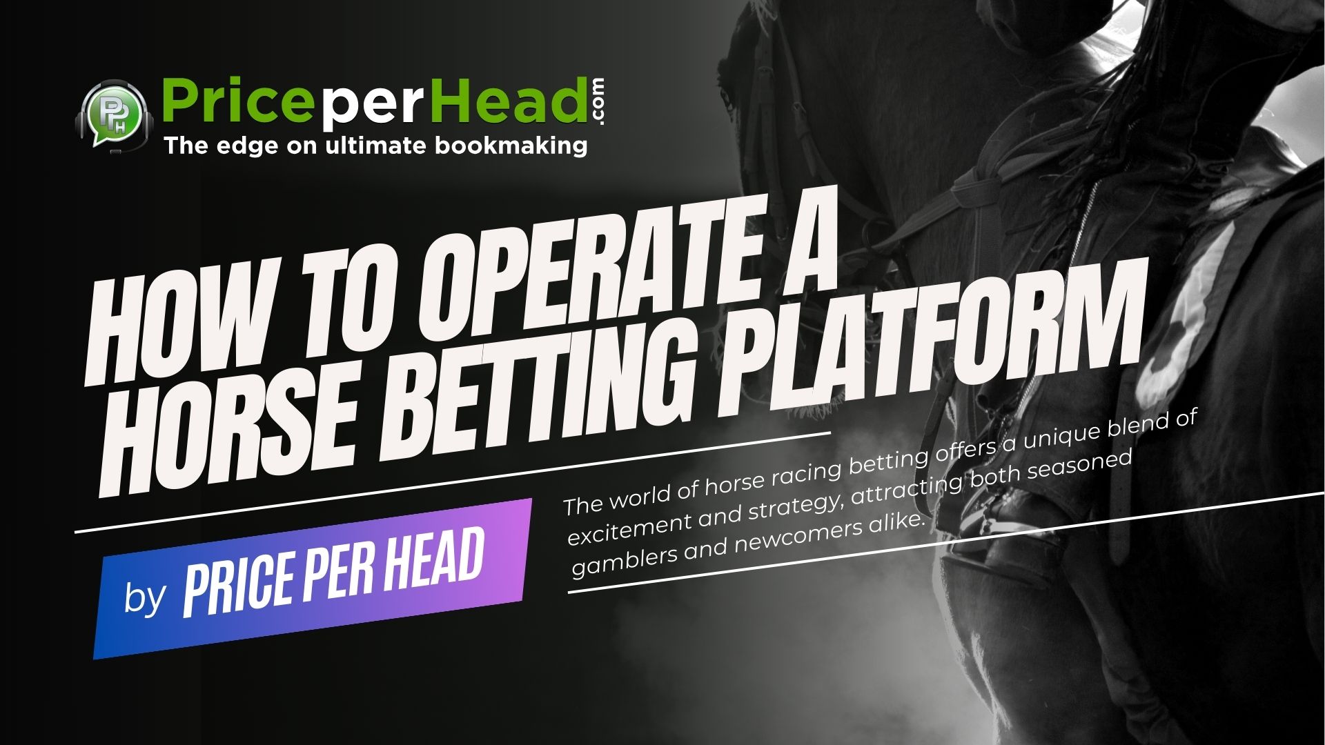 how to operate a horse betting platform, pay per head service, price per head, bookie softwre