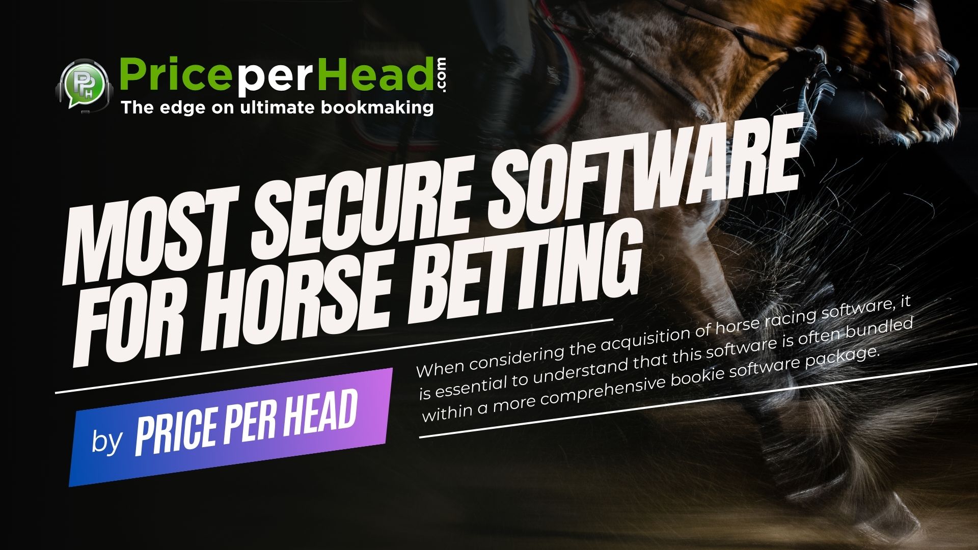 most secure software for horse betting, pay per head service, price per head, bookie software