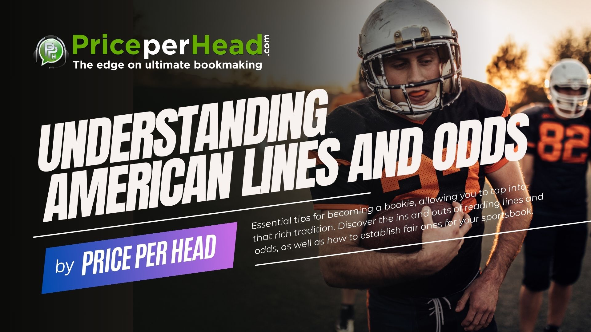 understanding american lines and odds, price per head, bookie software