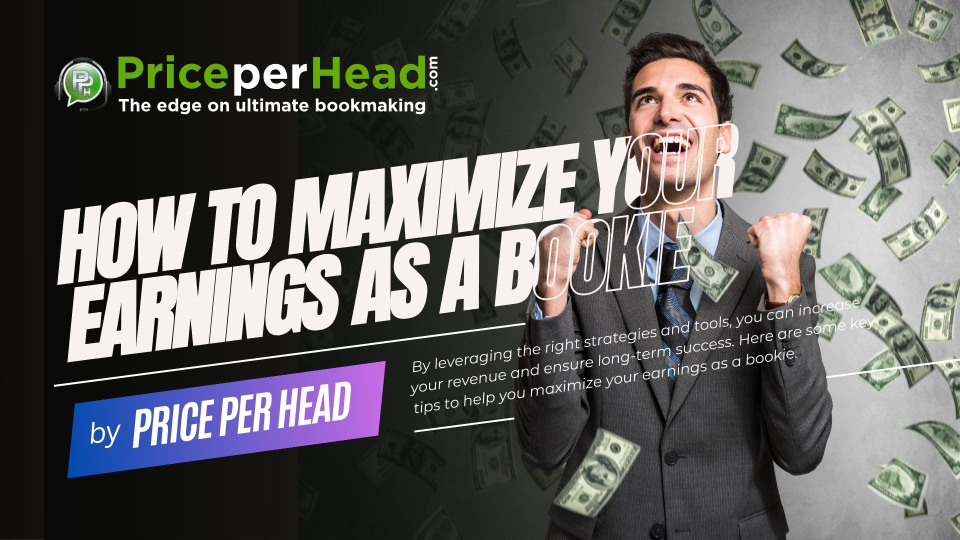 how to maximize your earnings as a bookie, price per head, bookie software