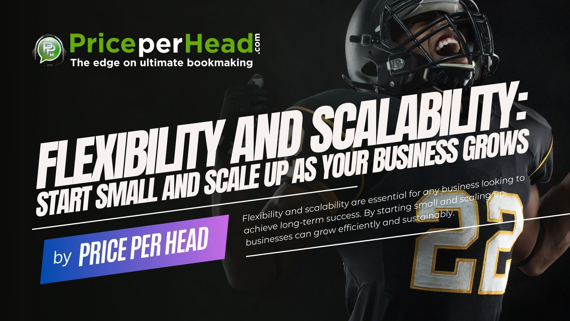 Flexibility and Scalability: Start Small and Scale Up as Your Business Grows. Price per Head, Bookie Software Provider.