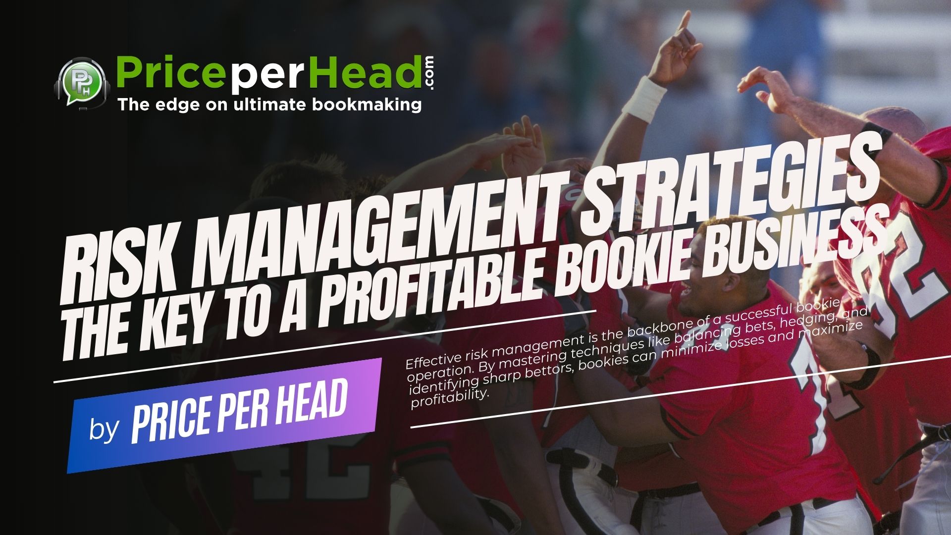 Risk Management Strategies: The Key to a Profitable Bookie Business. Price per Head, Bookie Software.